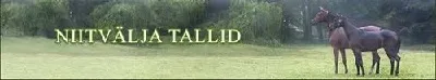 OÜ Niitvälja Tallid